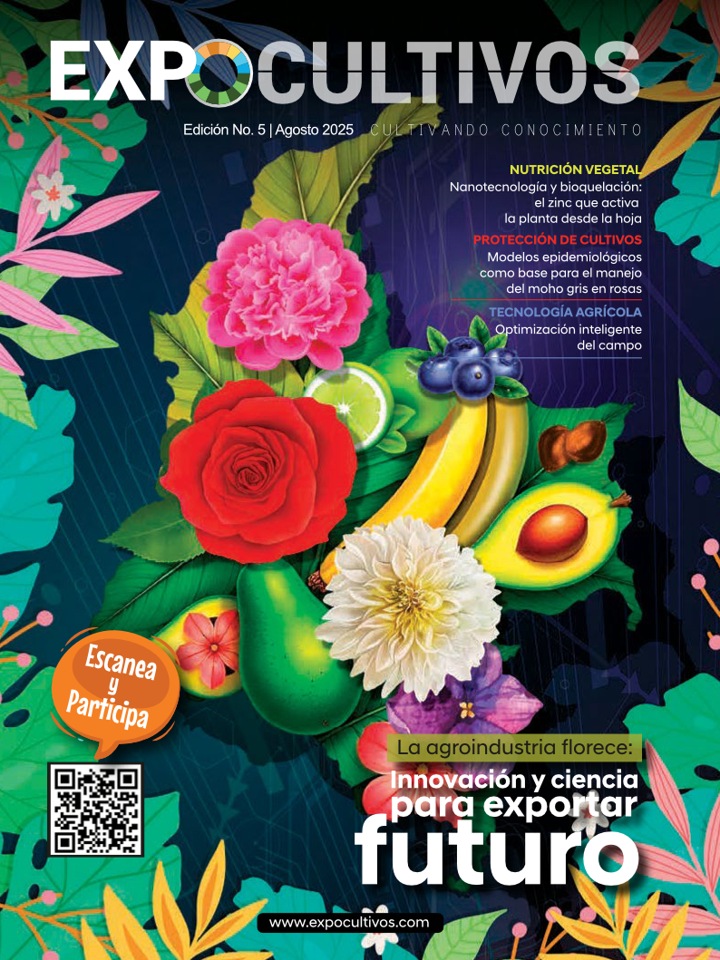 PORTADA PARA WEB