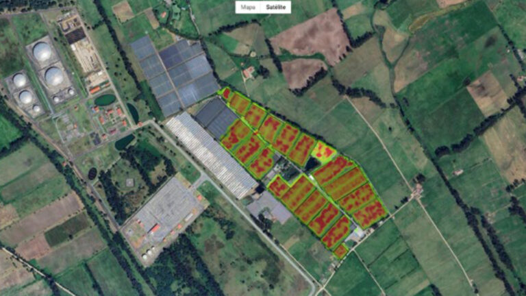 Optimización inteligente del campo, descubre Farmapp Pests®