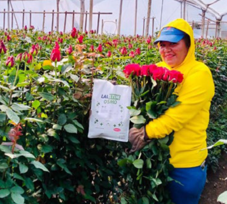 Innovación en osmoregulación para cultivos bajo estrés